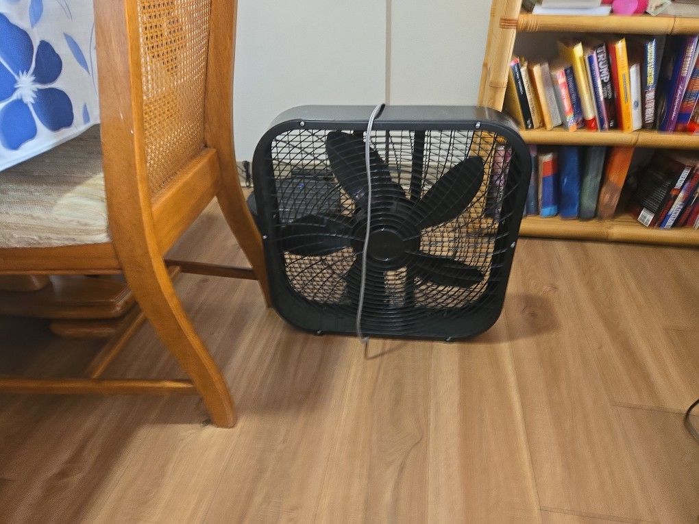 Black Box Fan