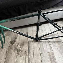 Trek 820 mountain track