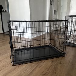 Dog Kennel