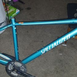 Specialized Road Bike Frame