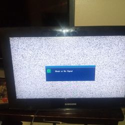 29" Samsung TV 