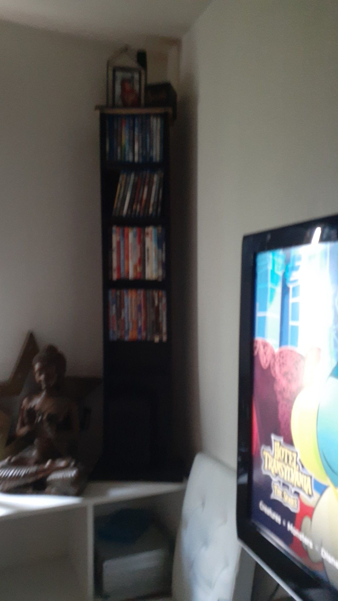 TV. DVD player . And DVD case holder with DVDs