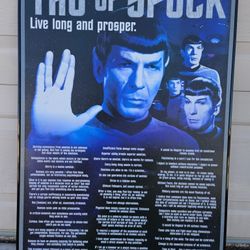  Wall picture/ home decor/ framed pictures/ star trek picture 