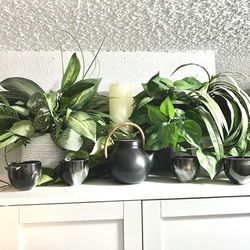 Great Condition: High Quality silk artificial plants, pots included, 4 plants total, 2 pots