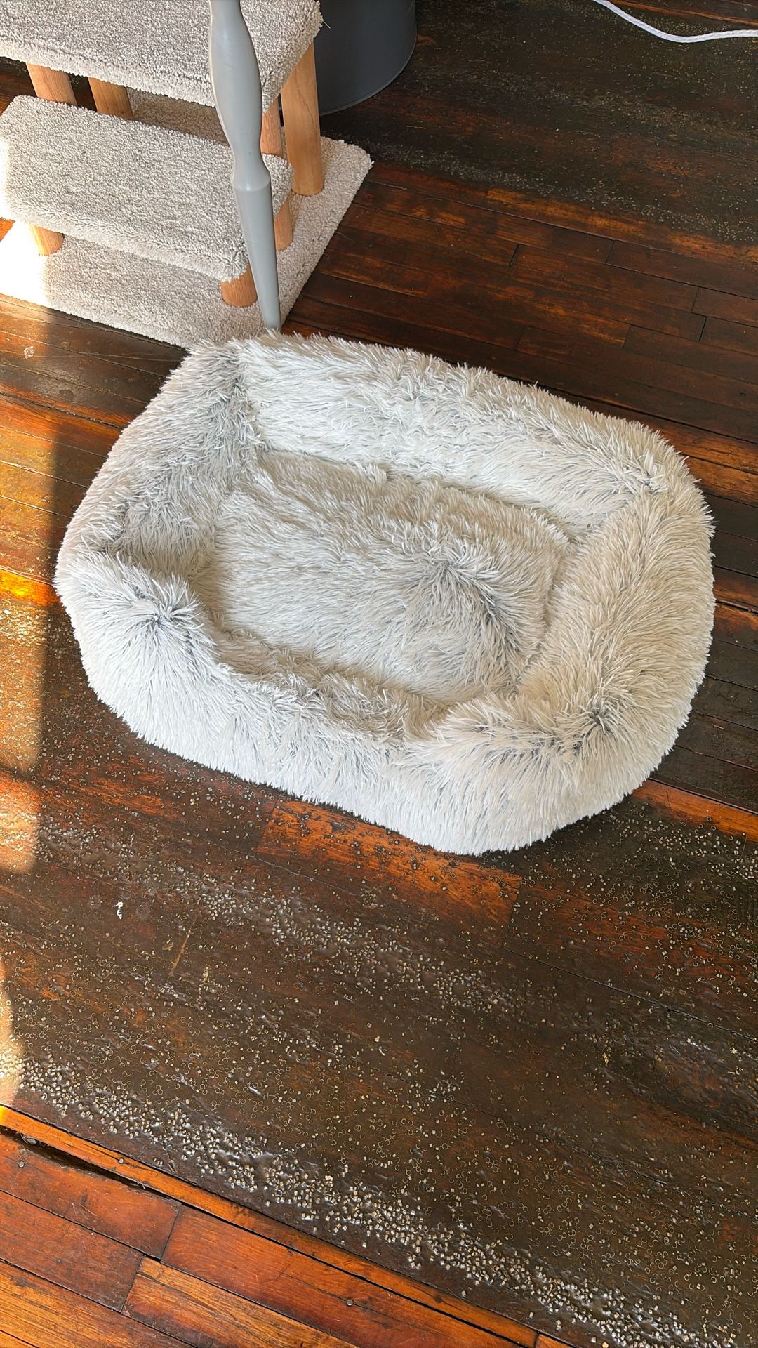 Cat Bed