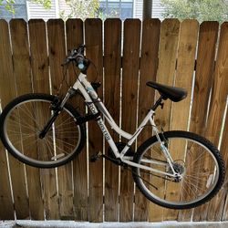 Road Master Adult Size Bicycle 