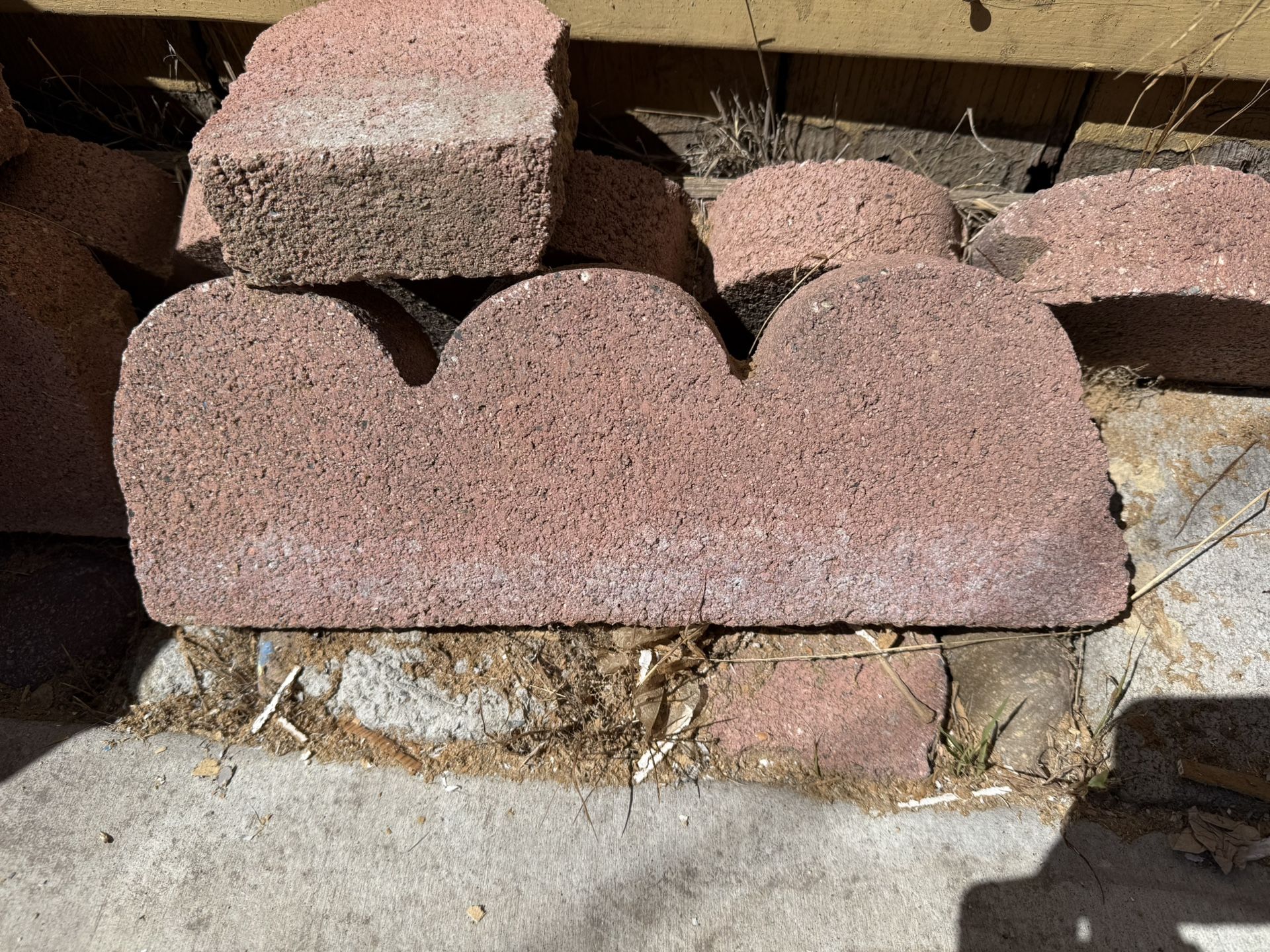 Curved Scalloped Concrete Edgers 