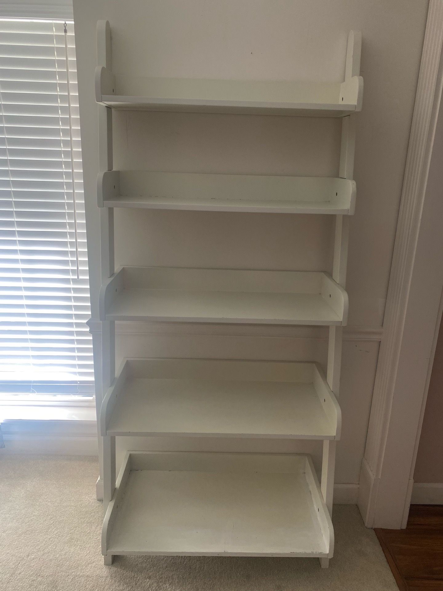 Ladder shelf