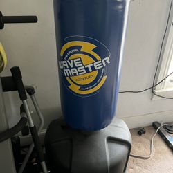 Century Wave Master Punching Bag. 