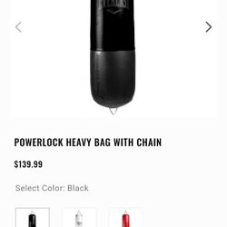 Everlast Punching Bag 100lbs 