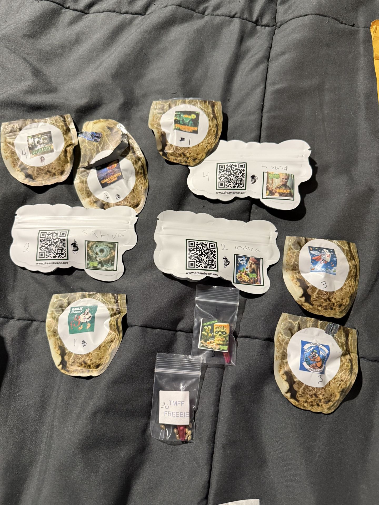 Auto Seeds 