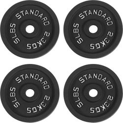 BRAND NEW IN BOX 5 lb Cast Iron Weight Plates Set of 4