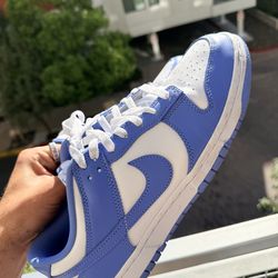 Nike Dunks Size 10.5