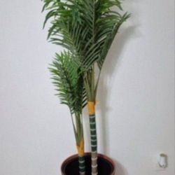 *** NEW LOW PRICE *** 5ft Faux Golden Cane Palm in a 22in Sienna Resin Planter @ Lasting Creations