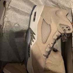 Jordan 10.5 