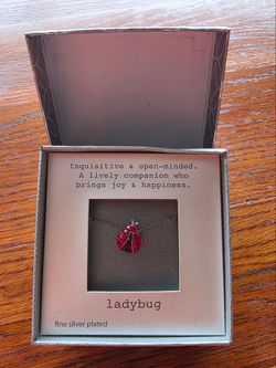 Ladybug necklace