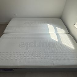 Purple Hybrid Premier 4 Split King + Adjustable Bases (Great Condition)