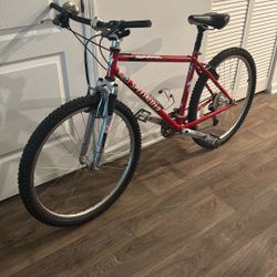 Specialized Mountain Bike 