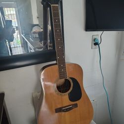 Mitchell Acoustic MD100
