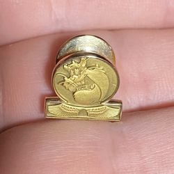 10K Gold Pin