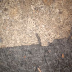 2 Dewalt 20v Tools For 24r Car Battery