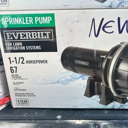 Everbilt 1-1/2 HP Plastic Lawn Sprinkler Pump