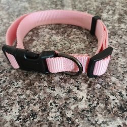 Dog Collar Size Medium
