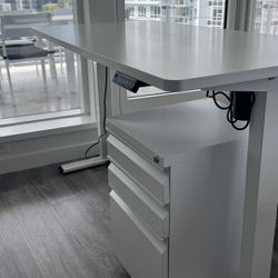One-piece Electric White Standing Desk (Adjustable Height)
