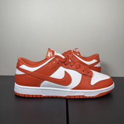 Brand New Cosmic Clay Dunk Size 10m