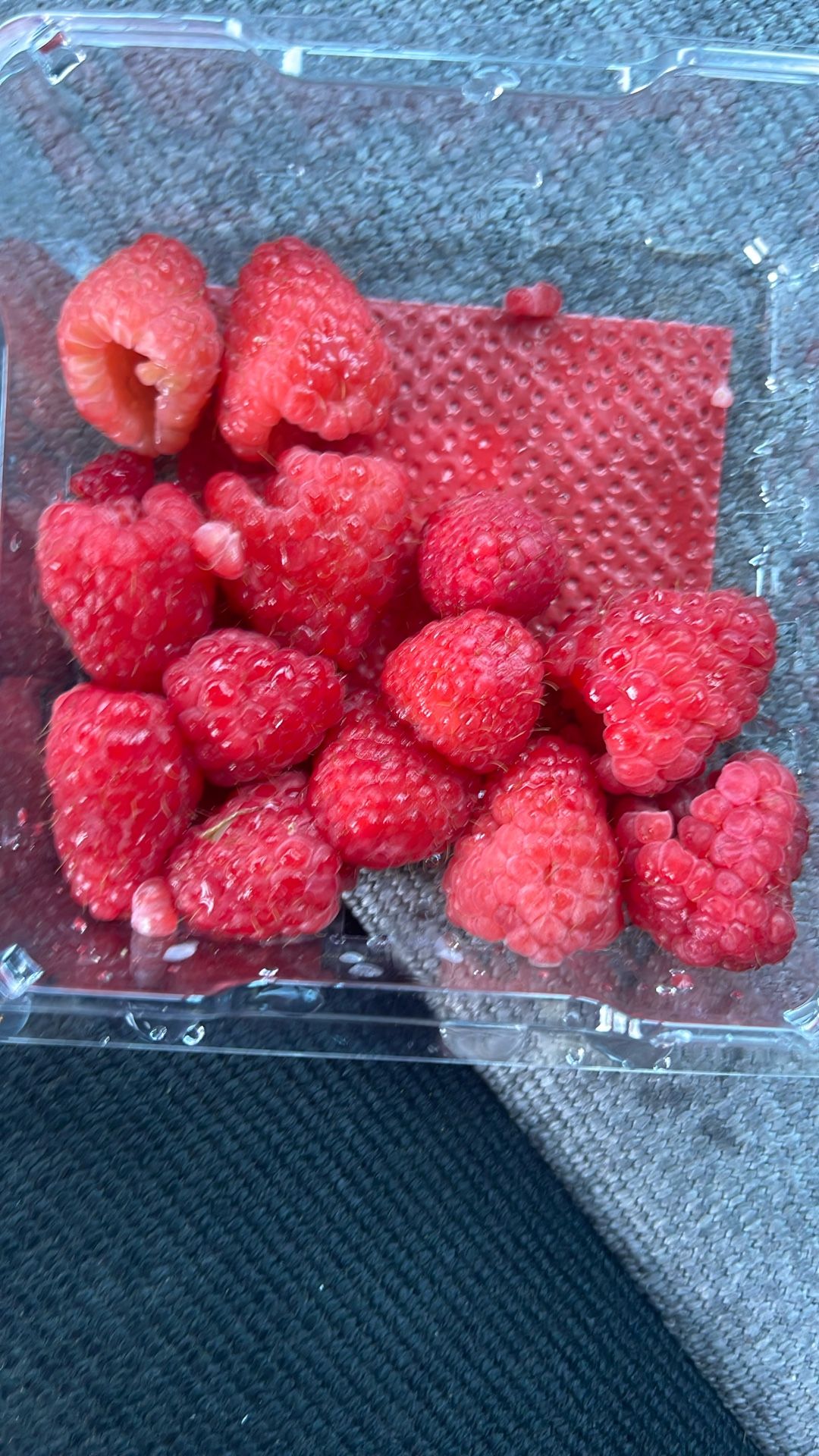 Fresh California Strawberry Fresh