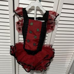 Lady Bug Custome