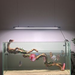 Fish tank decoration