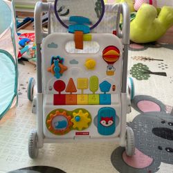 Skip Hop Walker