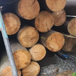 8" X 12' Log Poles