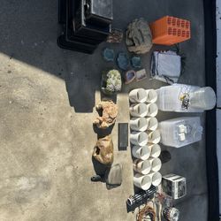 Reptile Supplies + Breeding Supplies!