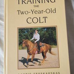 Farm - Training the Two Year Old Colt Horse