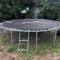 Trampoline 