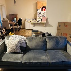 Gray Velvet Couch 90”