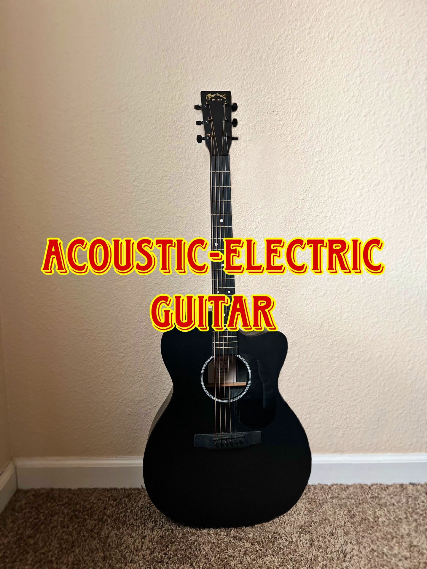 Acoustic-Electric Guitar