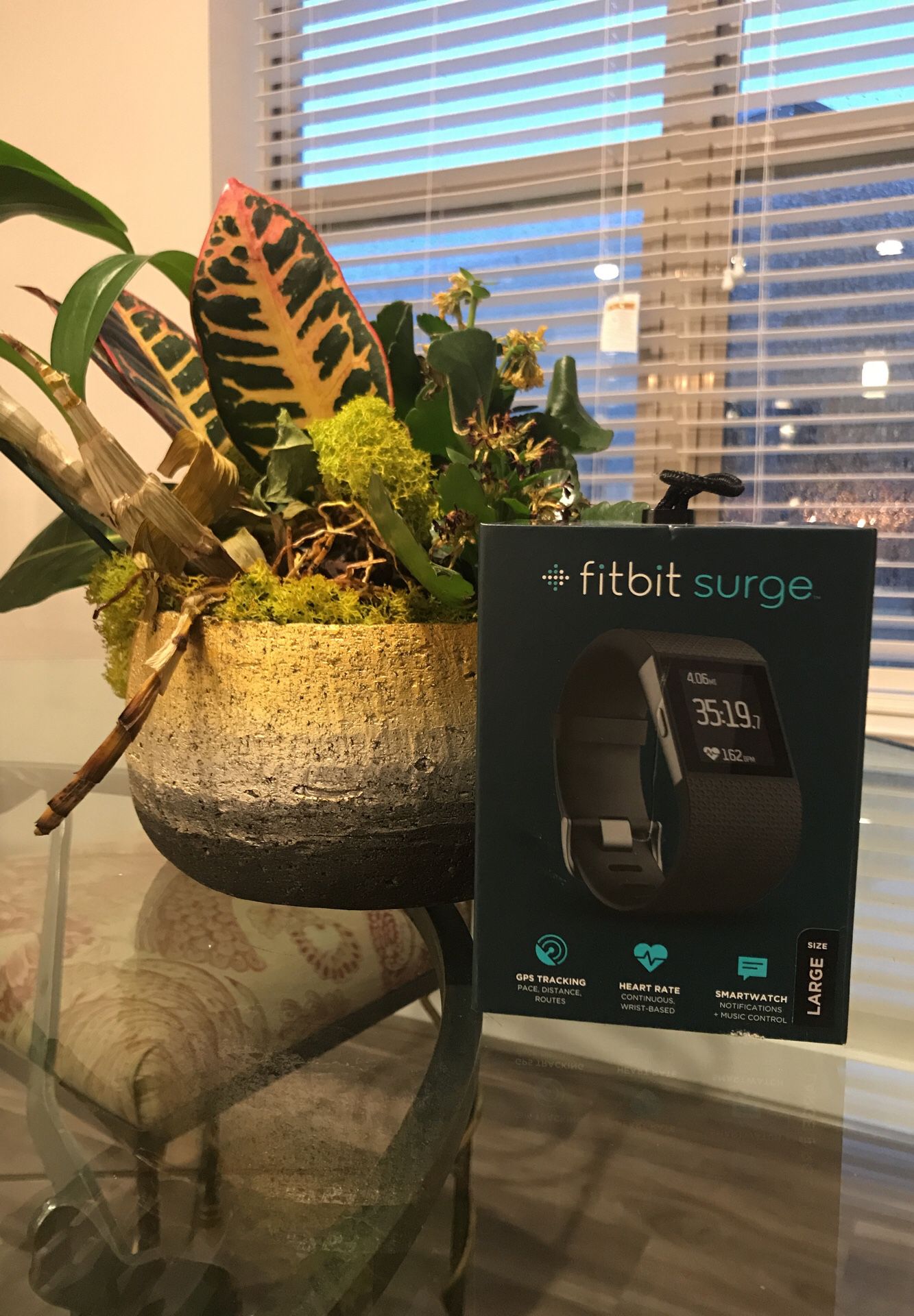 BRAND NEW Fitbit Surge - Large