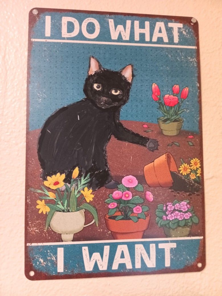 Black Cat Sign Metal 8x10 Approximately