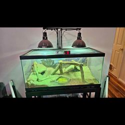 Dragon cage