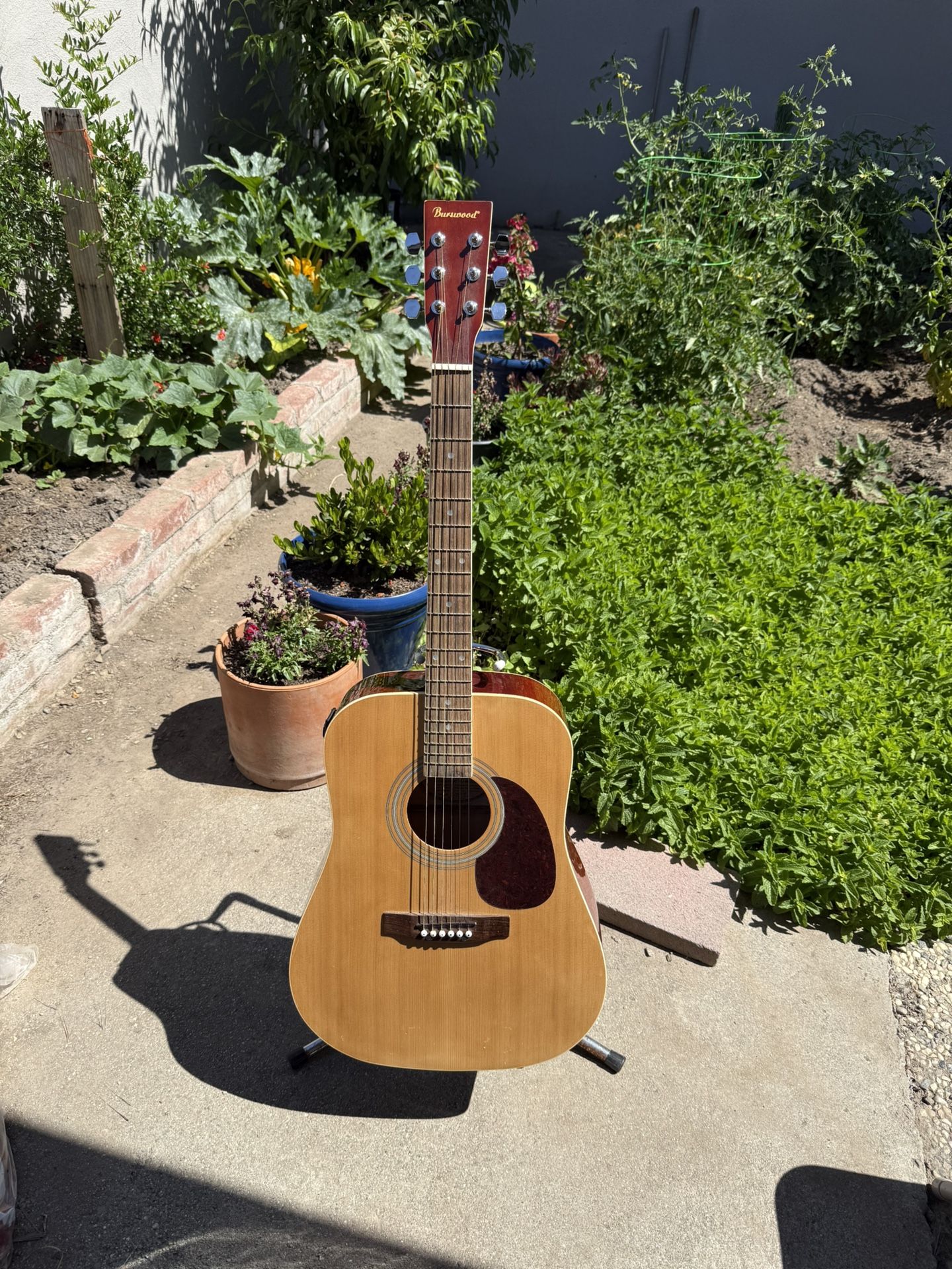 Acoustic Electric Guitar 🎸
