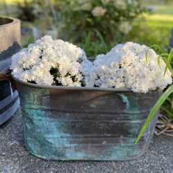 Antique Copper Boiler