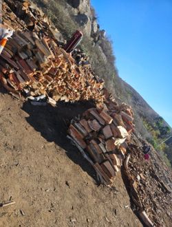 Firewood 4 Sale