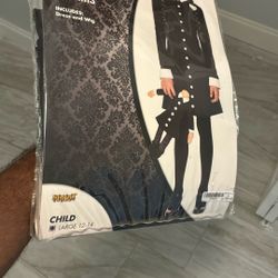 Halloween Costume 