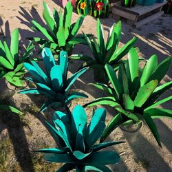 Desert Cactus Art🌺Patio Upgrade Starts Here🌵+PLANTERS 