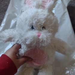 Stuffed Bunny