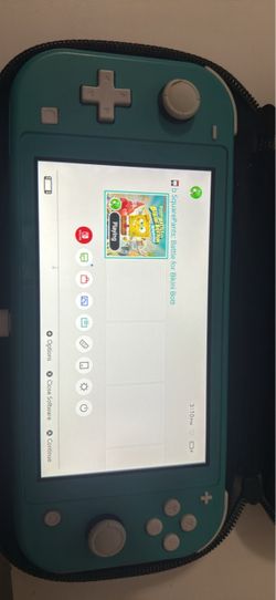 Switch lite