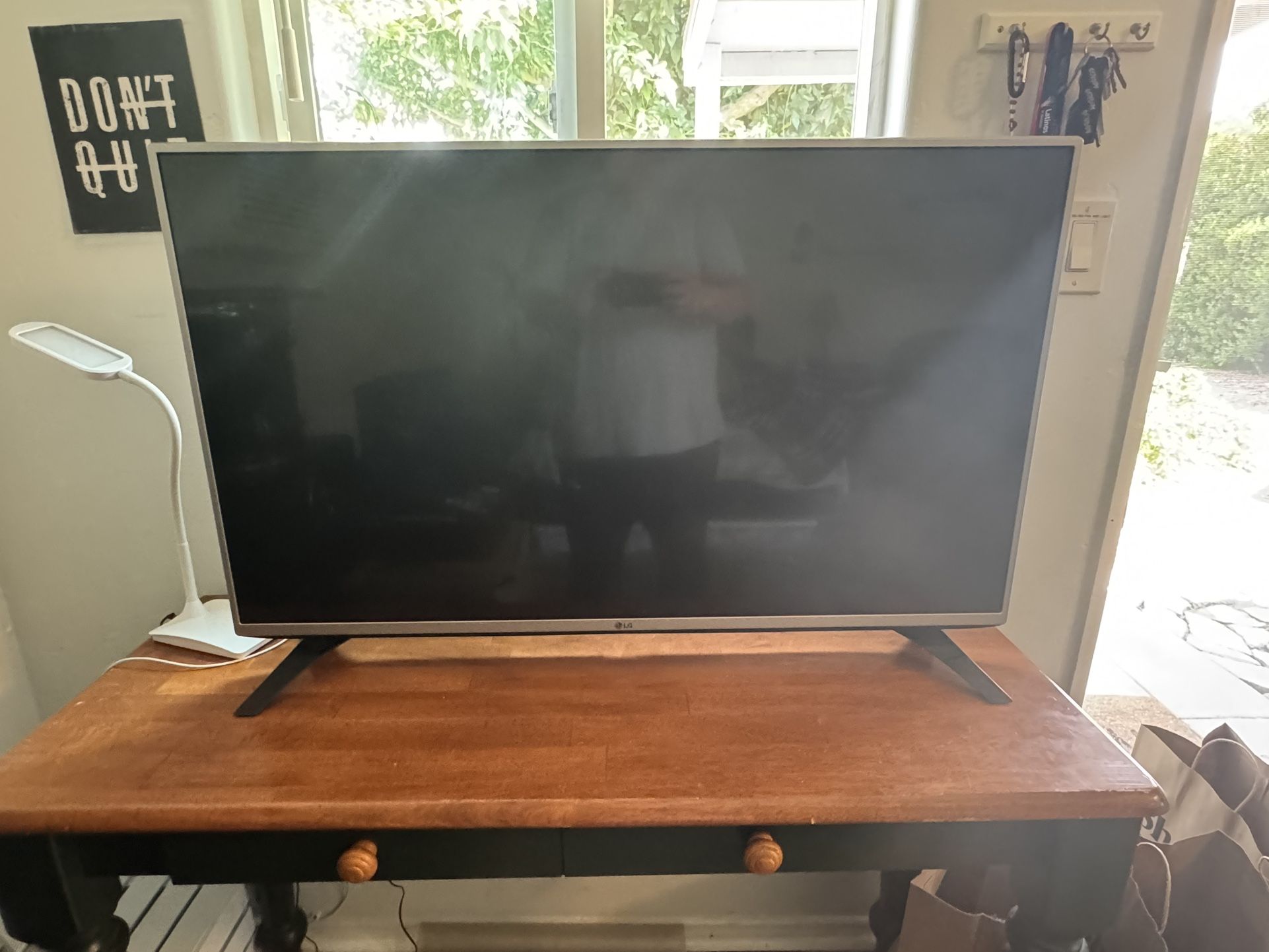 LG Television (No Issues)